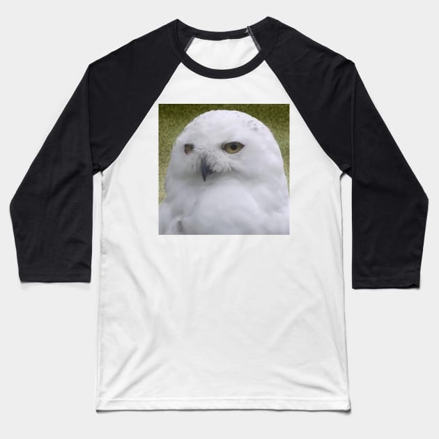 Snowy Owl Baseball T-Shirt by jalfc46